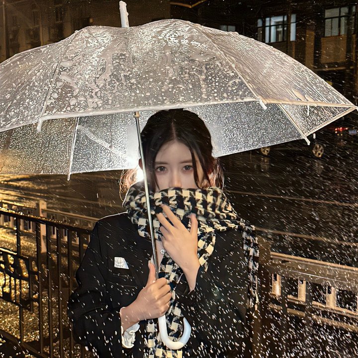 偷心女盗
